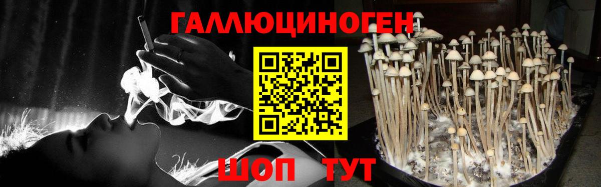 Псилоцибиновые грибы прущие грибы  Вход с VPN  Людиново 